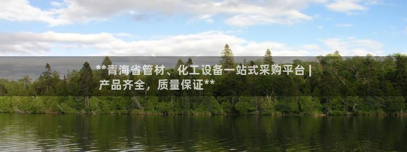 新宝gg创造奇迹登录入口网址