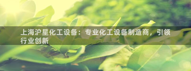 新宝gg平台注册登录指南