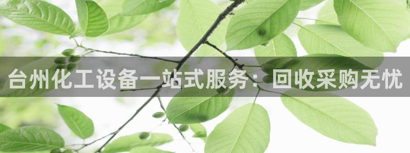 新宝gg奇迹登录怎么登录不了