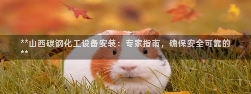 新宝GG平台德711.112如何处理