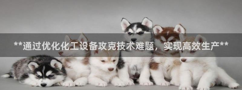 新宝gg一创造奇迹用户登录：**通过优化化工设备攻