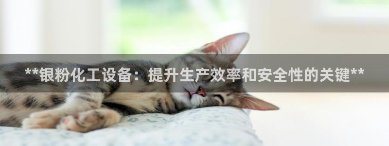 新宝gg1956注册地址：**银粉化工设备：提升生