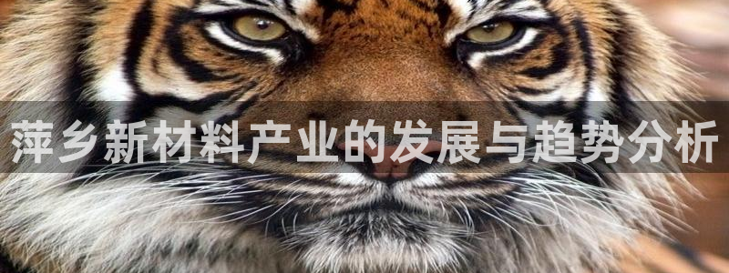 新宝GG平台注册开户：萍乡新材料产业的发展与趋势分析
