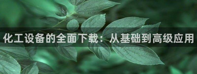 新宝gg创造奇迹为什么登录不了了：化工设备的全面下载：从基础