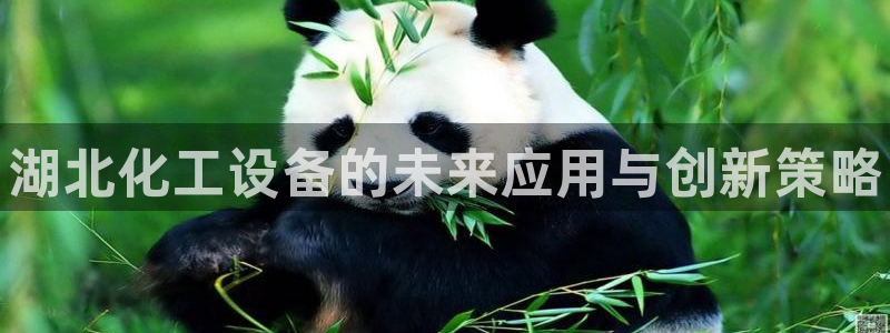 新宝GG平台德711怎么联系客服