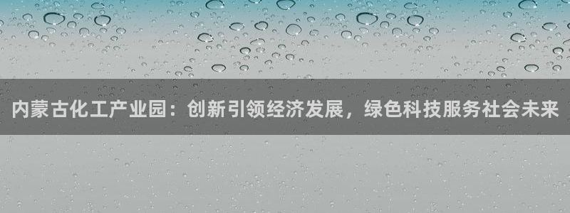 新宝gg创造奇迹官方登录入口：内蒙古化工产业园：创