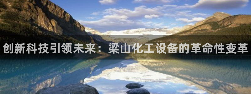 新宝gg手机版登录官网