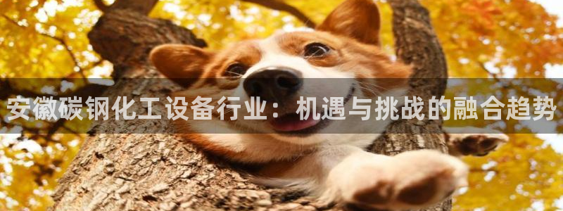 新宝gg创造奇迹怎么登录不上去