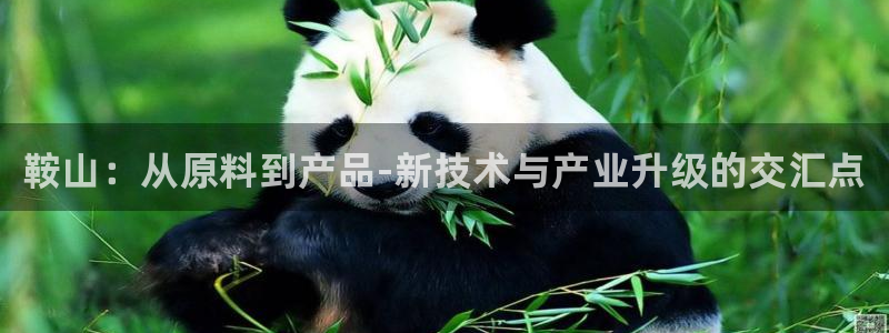 新宝gg一创造奇迹代理：鞍山：从原料到产品-新技术