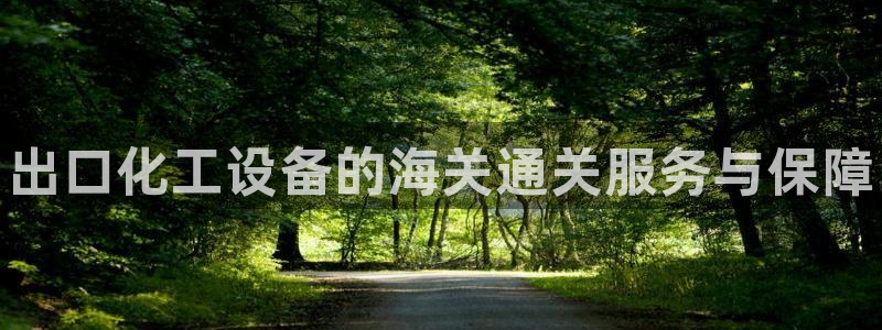 新宝gg一创造奇迹登录龙,虎,和