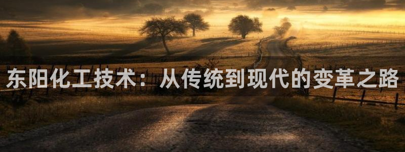 新宝GG创奇迹：东阳化工技术：从传统到现代的变革之