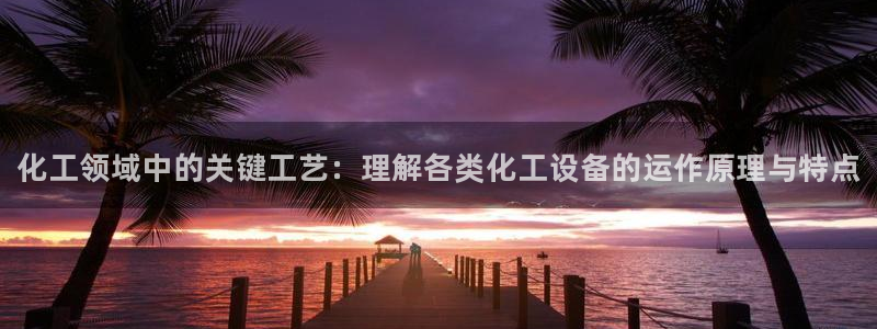 新宝gg创造奇迹官网：化工领域中的关键工艺：理解各