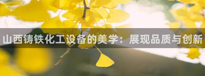 新宝gg — 创造奇迹!：山西铸铁化工设备的美学：展现品质与